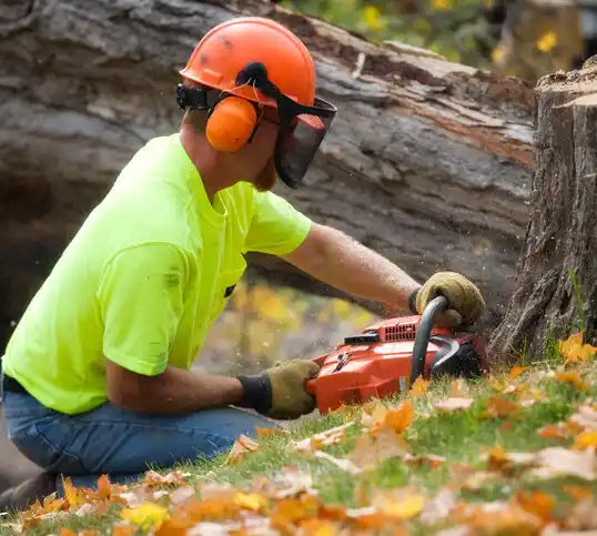 tree services Topsail Beach